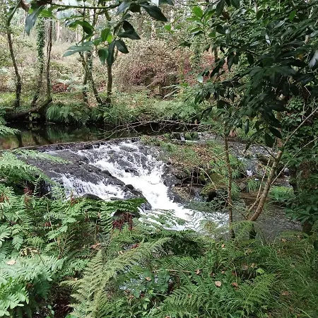 Atico Con Vistas A La Ria De Arosa Rianjo