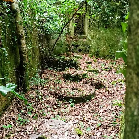 Atico Con Vistas A La Ria De Arosa