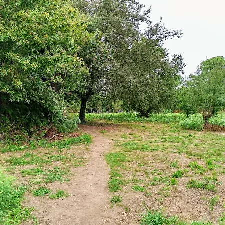 Atico Con Vistas A La Ria De Arosa דירה