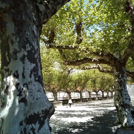 Atico Con Vistas A La Ria De Arosa Appartement Rianjo